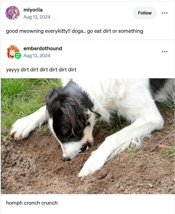 78 Tumblr Posts That Are Absolutely Weird, Funny, And Totally Tumblr