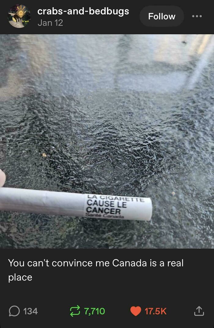 78 Tumblr Posts That Are Absolutely Weird, Funny, And Totally Tumblr