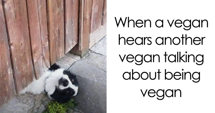 Get Ready to Laugh: 47 Vegan Memes That Actually Nail It