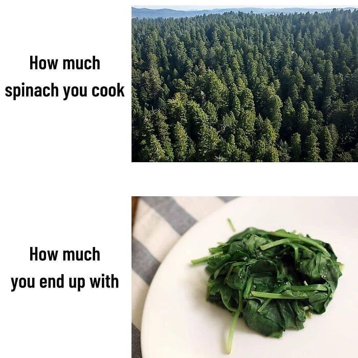 Get Ready to Laugh: 47 Vegan Memes That Actually Nail It