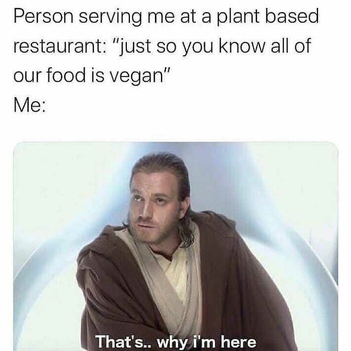Get Ready to Laugh: 47 Vegan Memes That Actually Nail It