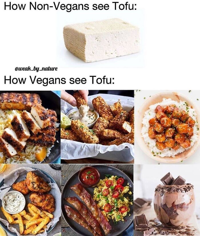 Get Ready to Laugh: 47 Vegan Memes That Actually Nail It