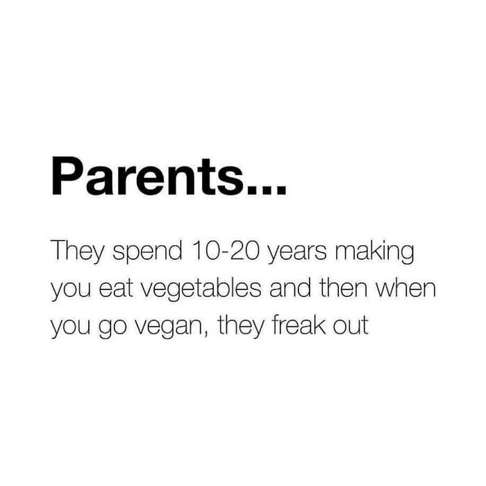 Get Ready to Laugh: 47 Vegan Memes That Actually Nail It