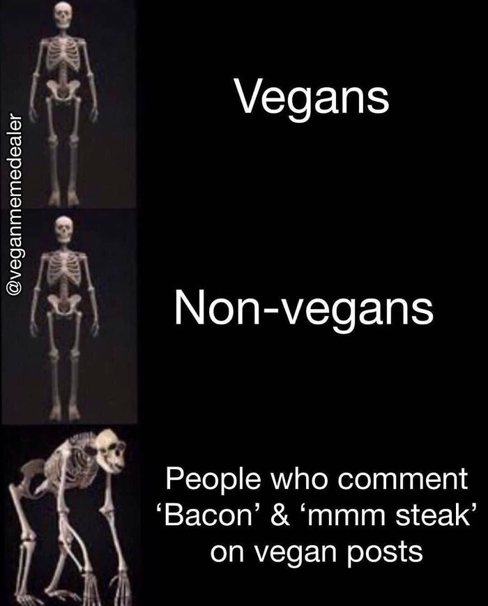 Get Ready to Laugh: 47 Vegan Memes That Actually Nail It
