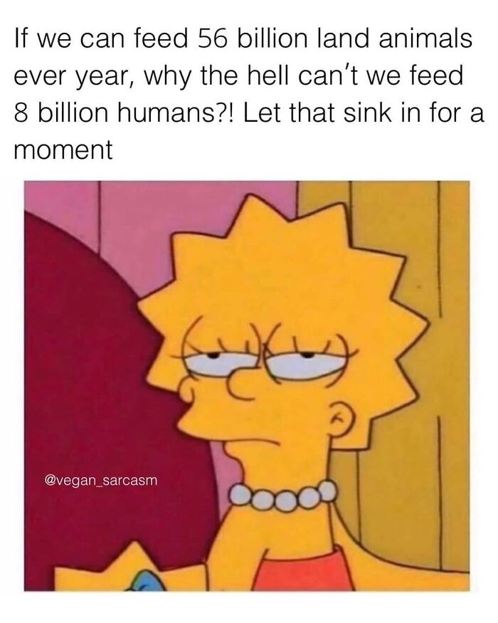 Get Ready to Laugh: 47 Vegan Memes That Actually Nail It