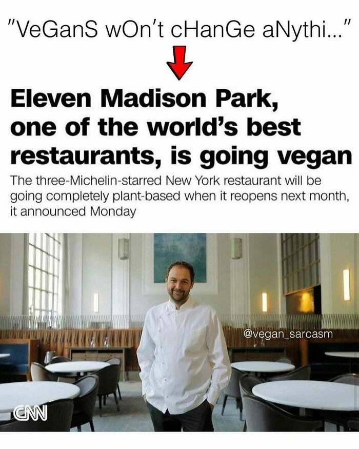 Get Ready to Laugh: 47 Vegan Memes That Actually Nail It