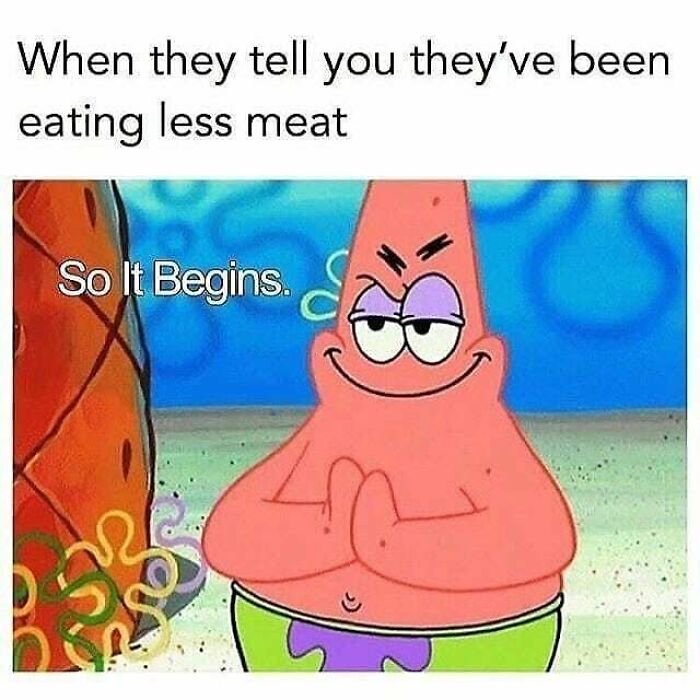 Get Ready to Laugh: 47 Vegan Memes That Actually Nail It