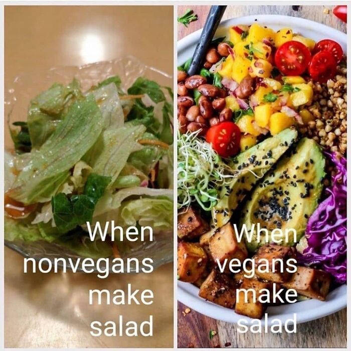 Get Ready to Laugh: 47 Vegan Memes That Actually Nail It