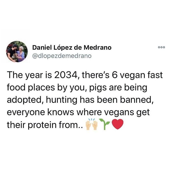 Get Ready to Laugh: 47 Vegan Memes That Actually Nail It