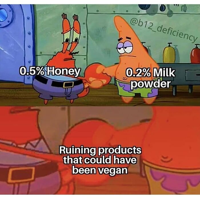 Get Ready to Laugh: 47 Vegan Memes That Actually Nail It