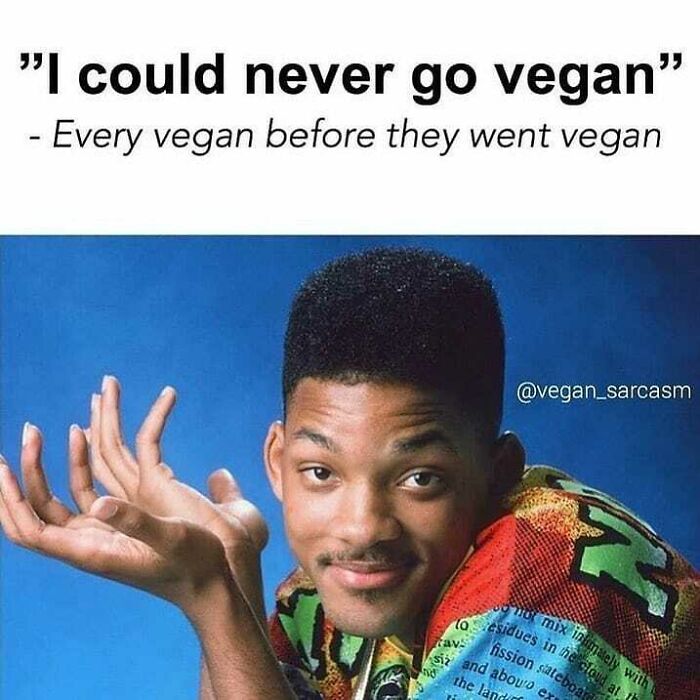 Get Ready to Laugh: 47 Vegan Memes That Actually Nail It