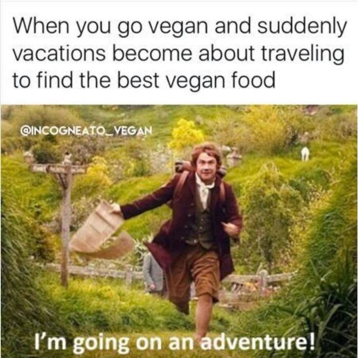 Get Ready to Laugh: 47 Vegan Memes That Actually Nail It