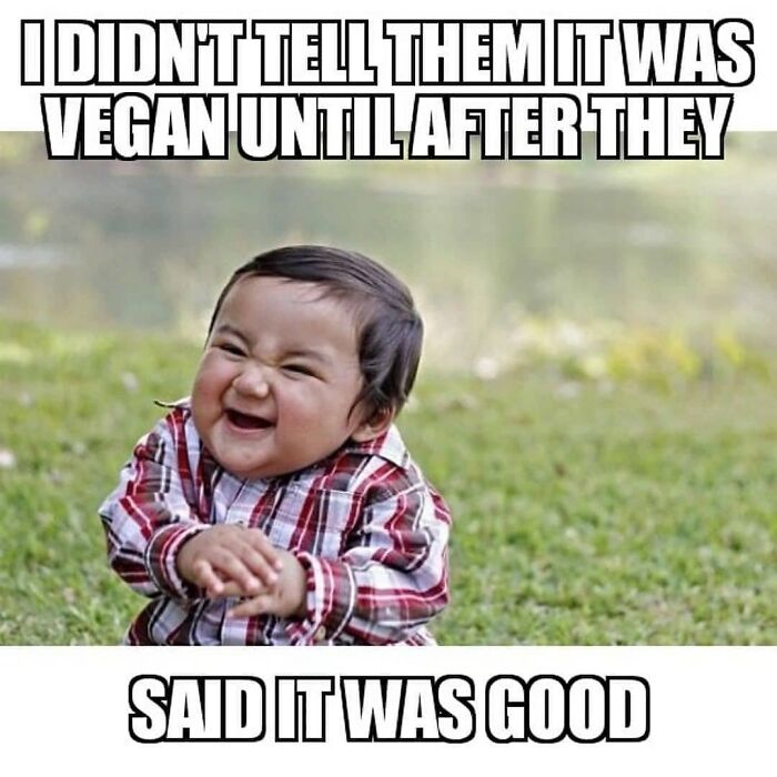 Get Ready to Laugh: 47 Vegan Memes That Actually Nail It