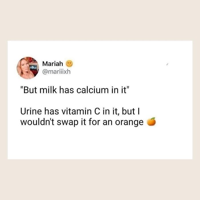Get Ready to Laugh: 47 Vegan Memes That Actually Nail It