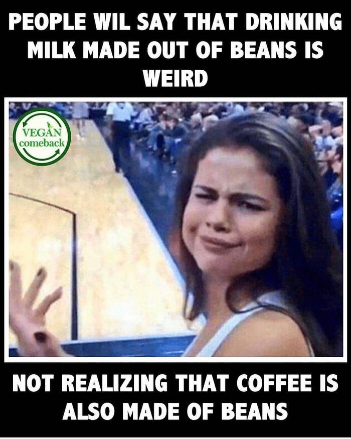 Get Ready to Laugh: 47 Vegan Memes That Actually Nail It