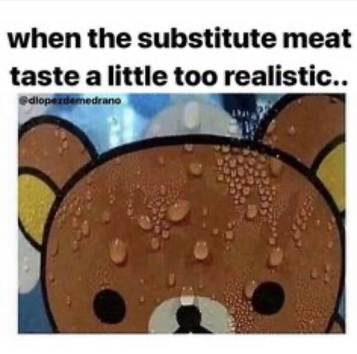 Get Ready to Laugh: 47 Vegan Memes That Actually Nail It
