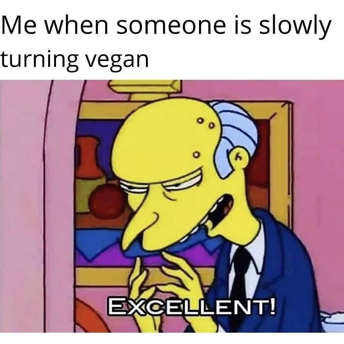 Get Ready to Laugh: 47 Vegan Memes That Actually Nail It