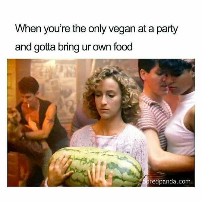 Get Ready to Laugh: 47 Vegan Memes That Actually Nail It