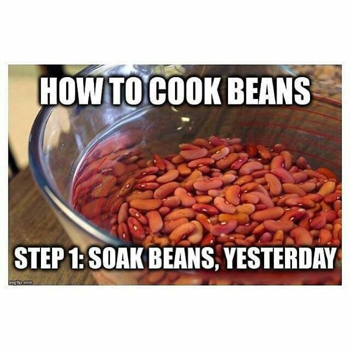 Get Ready to Laugh: 47 Vegan Memes That Actually Nail It