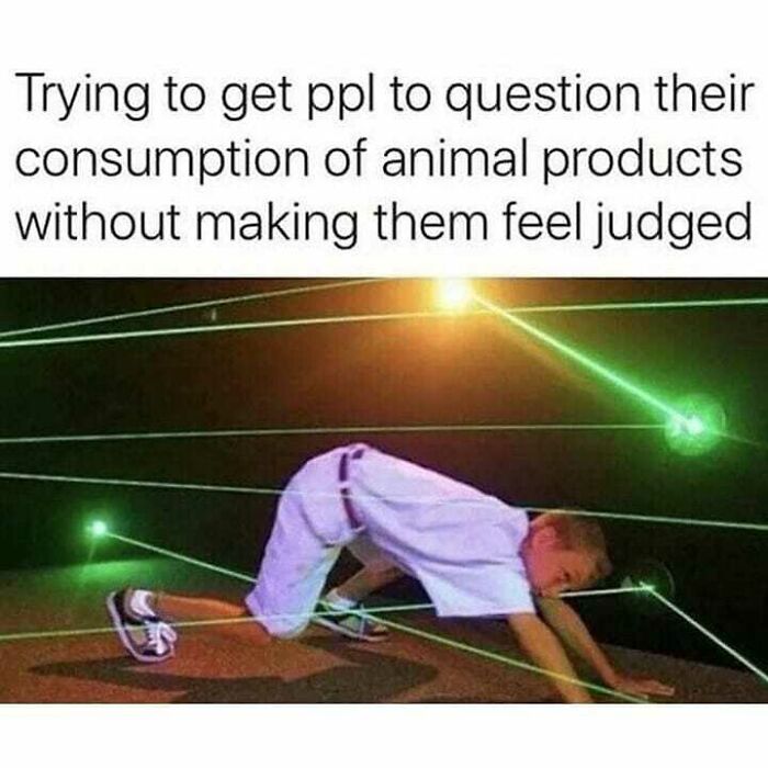 Get Ready to Laugh: 47 Vegan Memes That Actually Nail It
