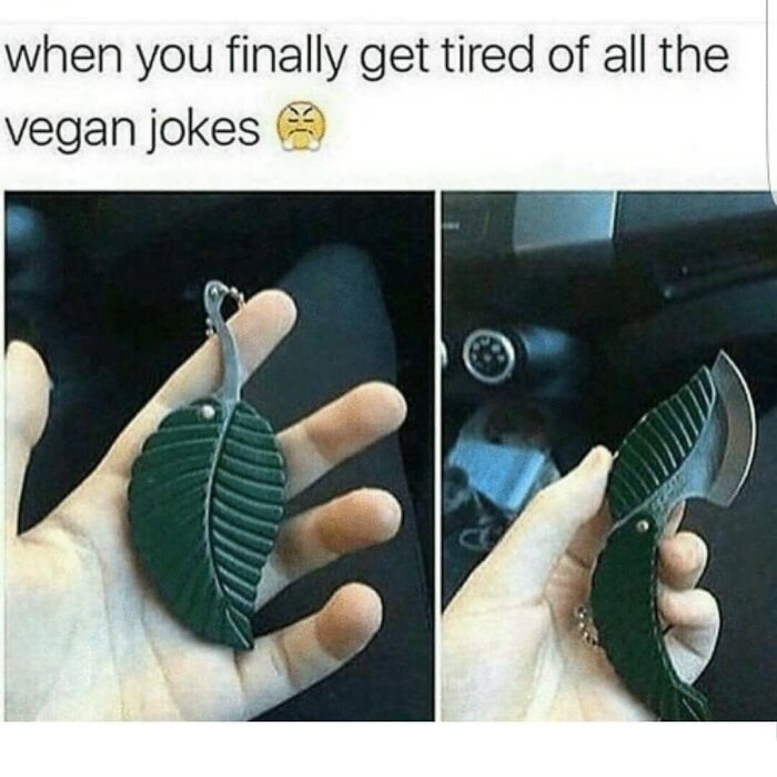 Get Ready to Laugh: 47 Vegan Memes That Actually Nail It