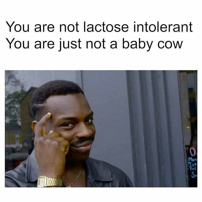 Get Ready to Laugh: 47 Vegan Memes That Actually Nail It