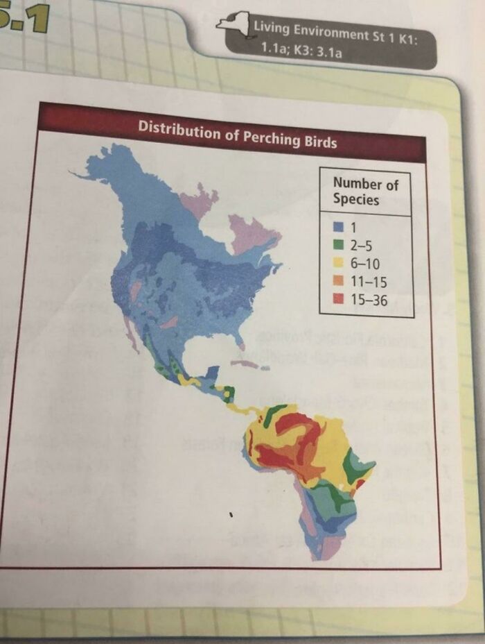 South America? More Like Africa Took Over!