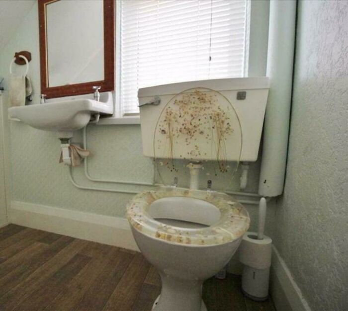 This Toilet Seat Looks Like Someone Didn’t Make It