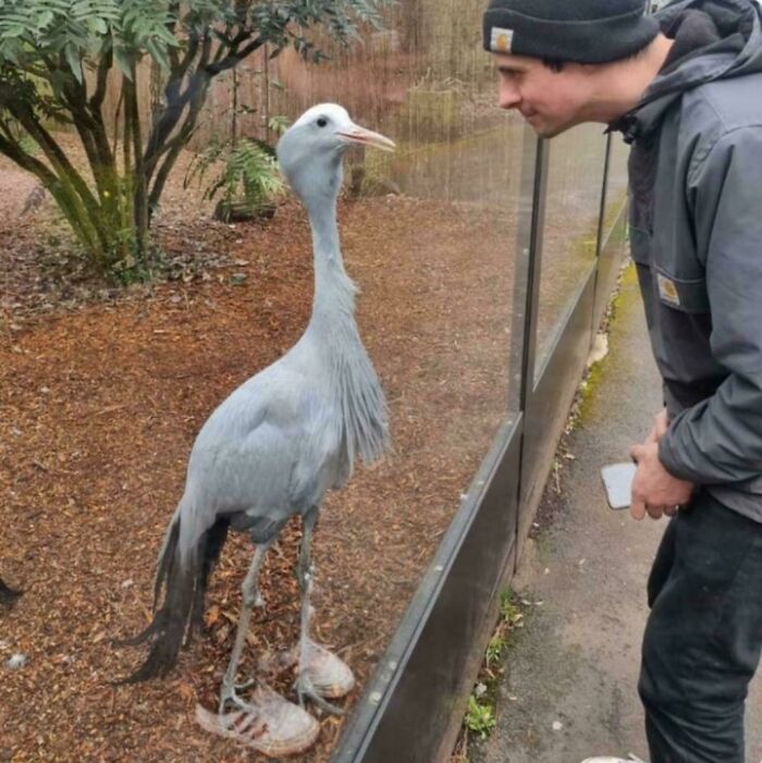 Wait, Did Your Brain Just Quit? 50 Photos That Totally Mess With Your Head