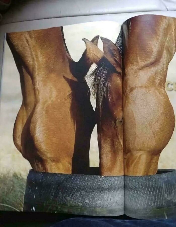 Wait, Did Your Brain Just Quit? 50 Photos That Totally Mess With Your Head