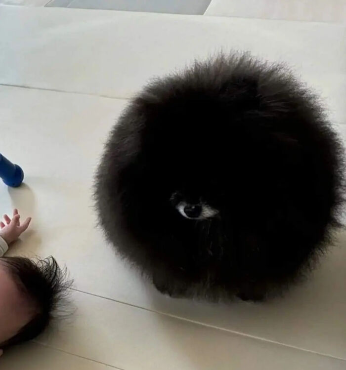 Wait, Did Your Brain Just Quit? 50 Photos That Totally Mess With Your Head
