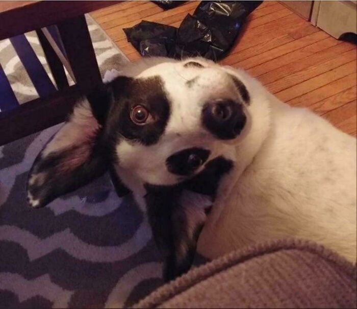 Wait, Did Your Brain Just Quit? 50 Photos That Totally Mess With Your Head