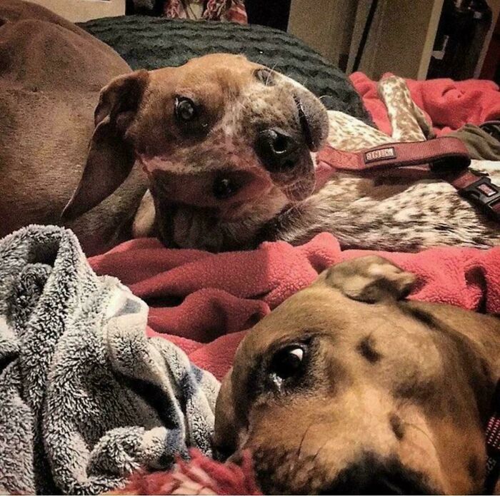 Wait, Did Your Brain Just Quit? 50 Photos That Totally Mess With Your Head