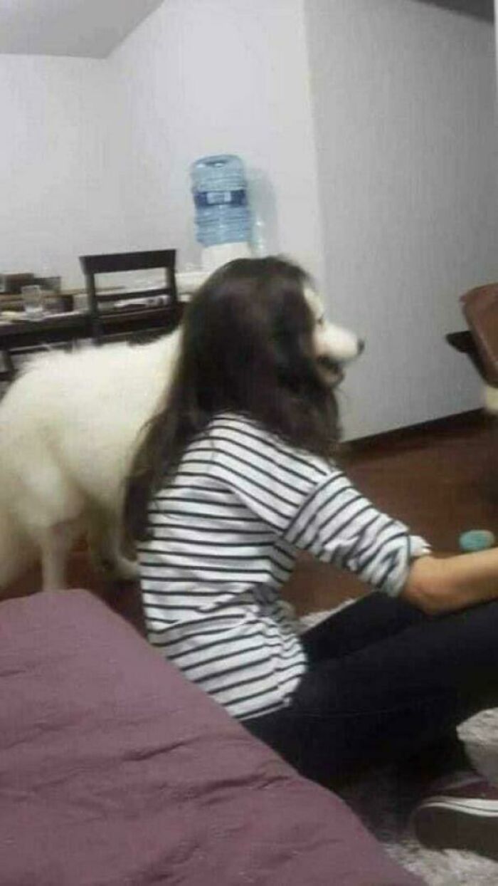 Wait, Did Your Brain Just Quit? 50 Photos That Totally Mess With Your Head