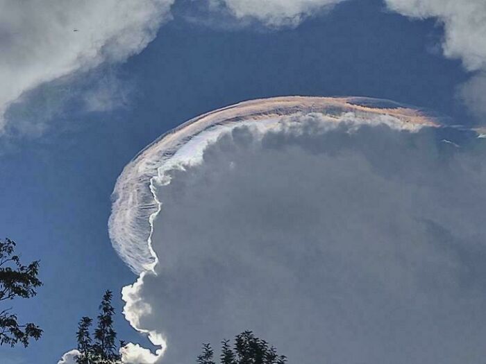 Wait, Did Your Brain Just Quit? 50 Photos That Totally Mess With Your Head