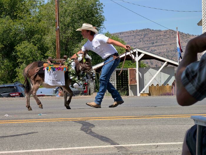 Wait, Did Your Brain Just Quit? 50 Photos That Totally Mess With Your Head