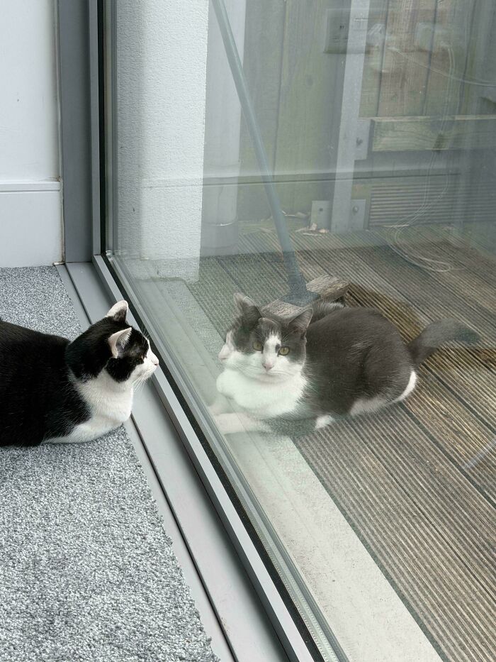Wait, Did Your Brain Just Quit? 50 Photos That Totally Mess With Your Head