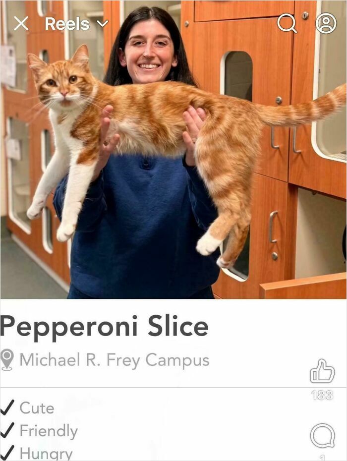 Animal Shelter Pics That Basically Nail Tinder Fish-Holding Vibes