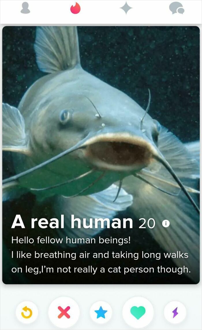 Looks Pretty Convincing, Honestly