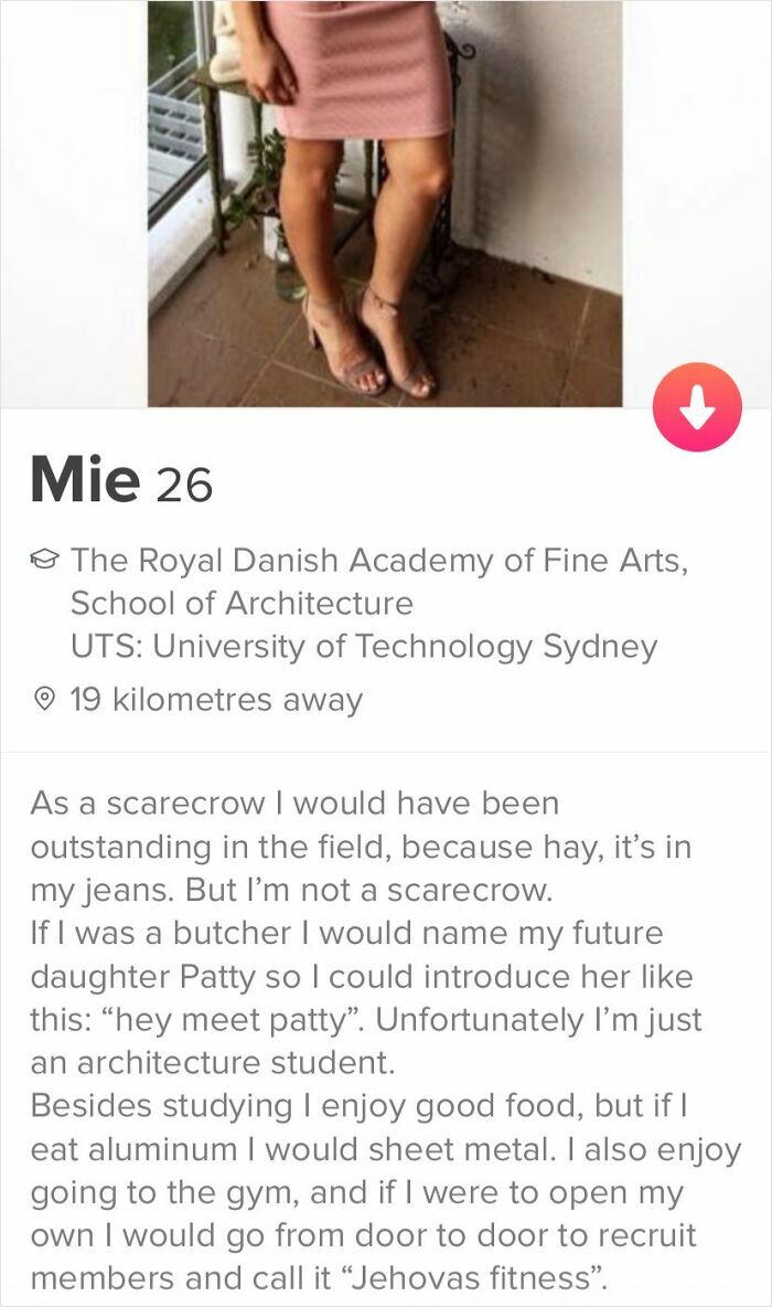 Best Tinder Bio I've Seen So Far