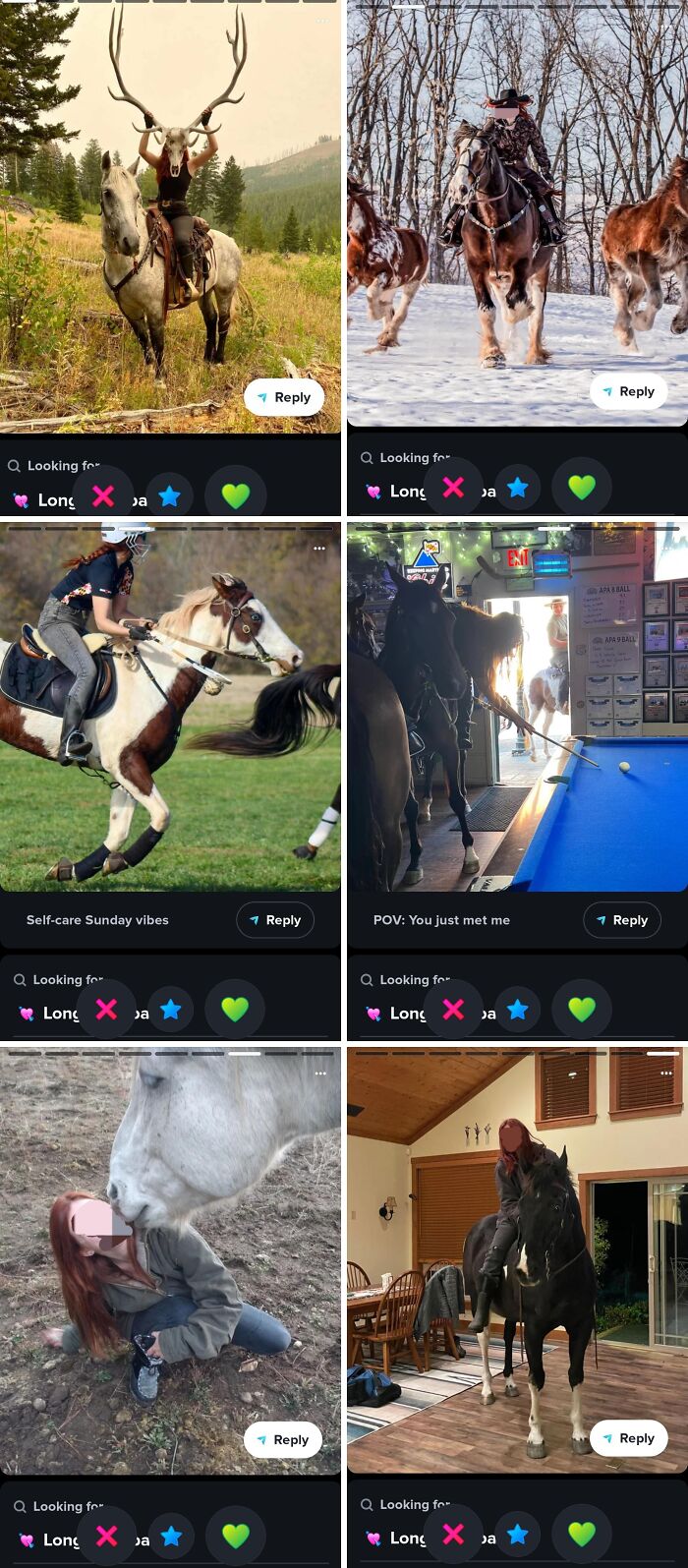 Horse Girl Final Boss, Found!