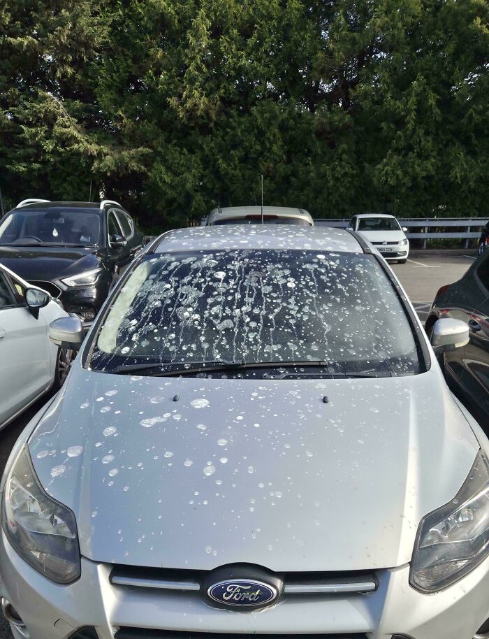 I Could've Parked Anywhere at Work—So Why This Spot?