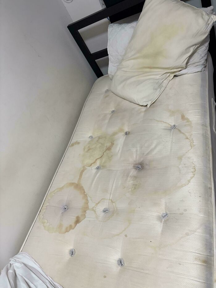 The ‘Bed’ I Got at Work. Isn’t It Cozy?