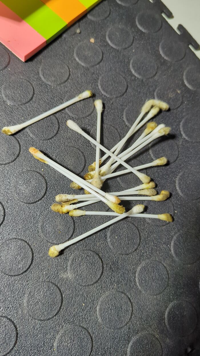 My Coworker Cleaned His Ears… Right at Work This Afternoon
