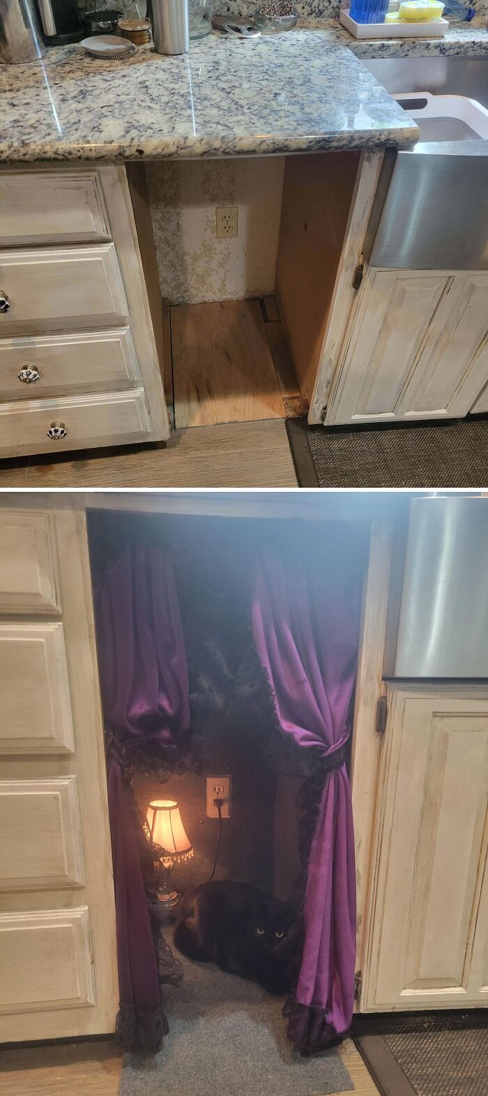 Oops! Wine Fridge Hole Now a Cat’s Dream Apartment