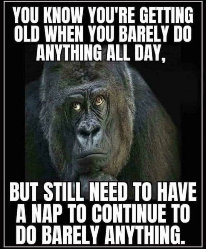 That’s What Aging Looks Like