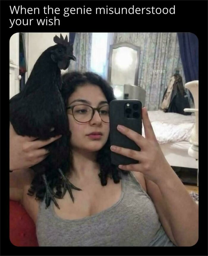 Wait... What Even Is This?
