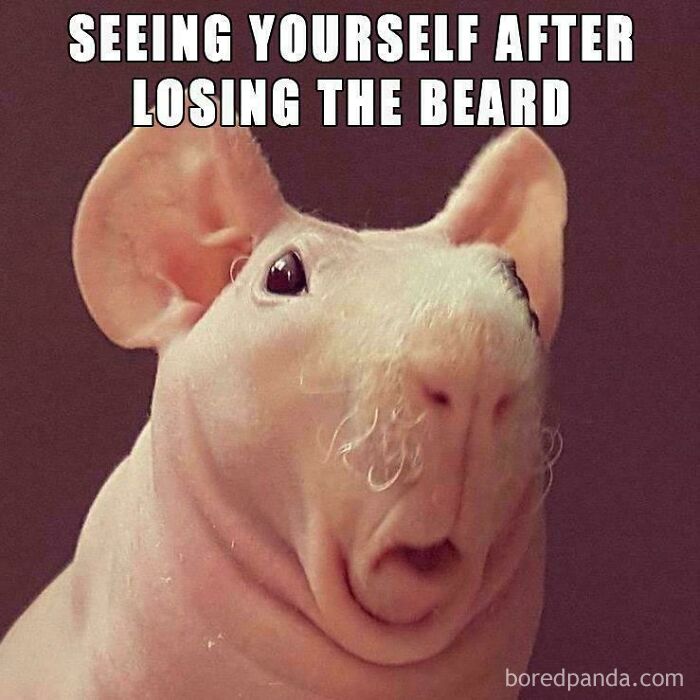 Regret? Oh Yeah.