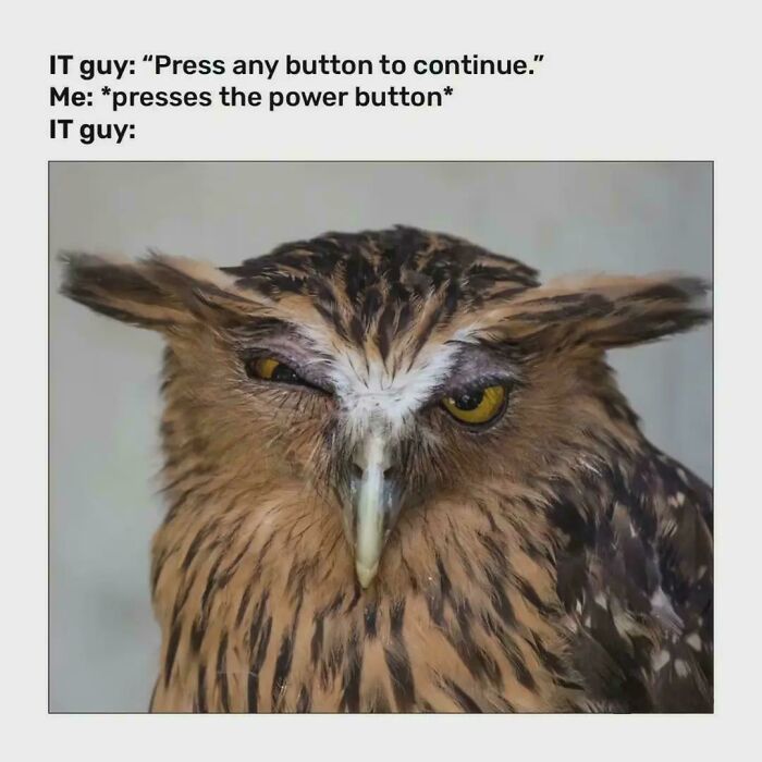 Press Button, Wait for LOL
