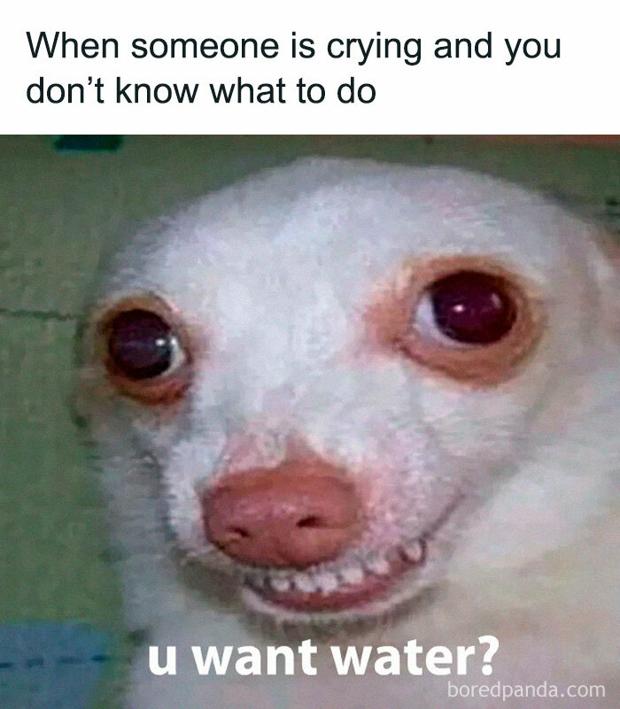 Or Somthing, Maybe?